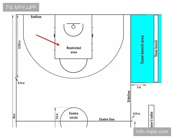 深度解析罚球规则NBA与FIBA区别的条文与执行